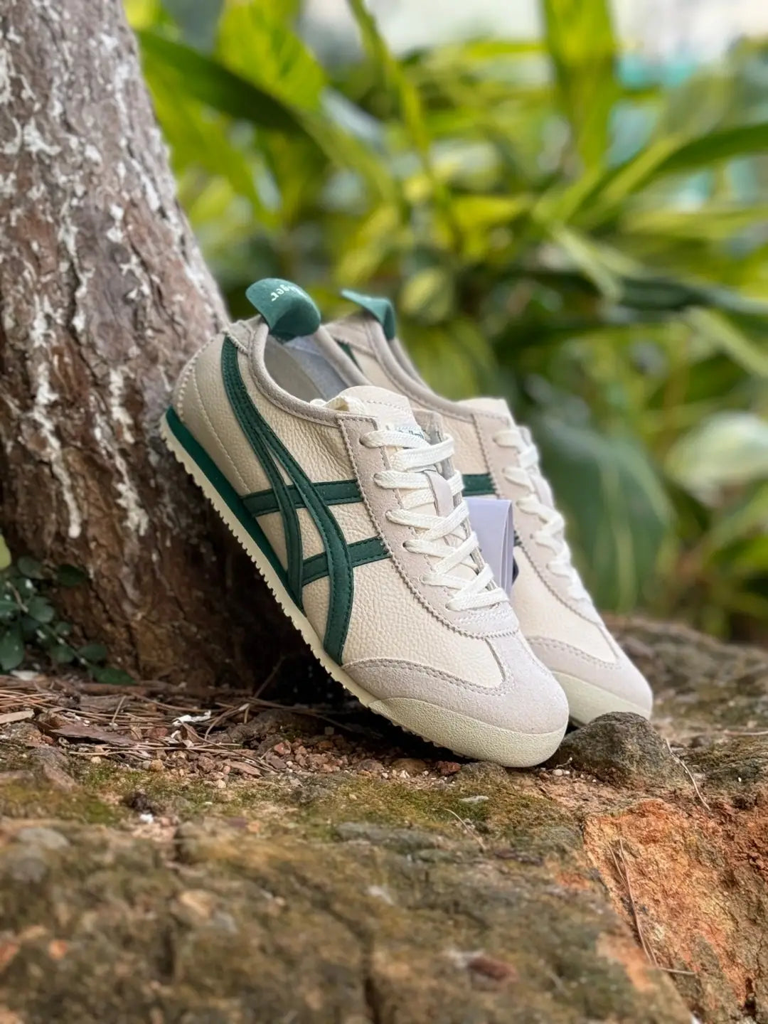 Onitsuka Tiger Mexico 66 Vintage - WhitePale Green  Mens First Copy